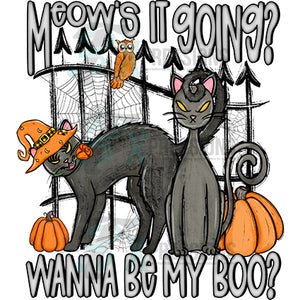 Meow's it going_Wanna be my boo