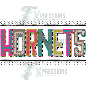 Hornets Retro