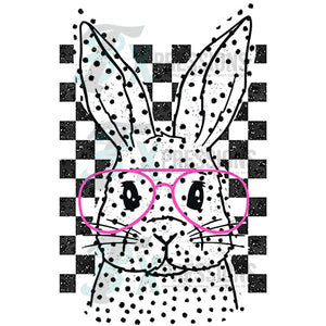 Bunny with Glasses