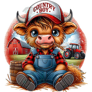 Country Boy sitting Highland Red