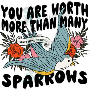 you are worth more than the sparrows