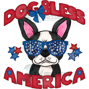 Dog Bless America Boston Terrier