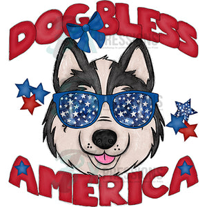 Dog Bless America Huskie