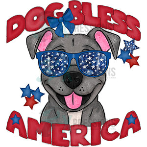 Dog Bless America Pit Bull