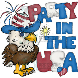 Party in the USA