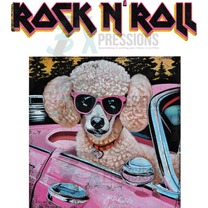 Rock and Roll poodle