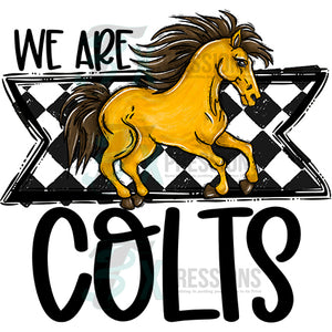 We Are COLTS