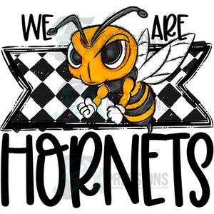 We Are HORNETS