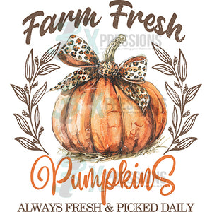 Farm Fresh Pumpkins