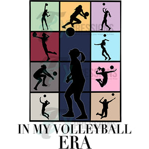 In My Volleyball Era