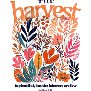 The Harvest Floral