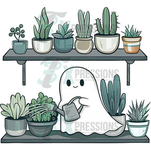 ghost plants