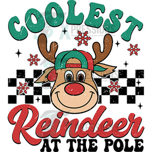 Collest Reindeer at the pole