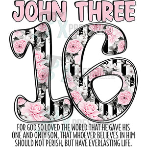 John 316