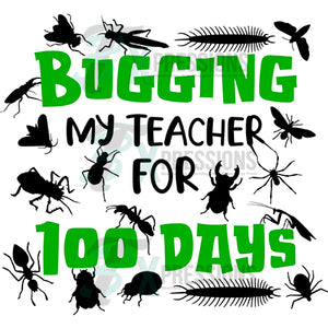 Bugging my teacher for 100 days