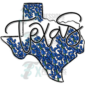 TEXAS WHIMSY STATES