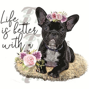 Life is better with a Frenchie