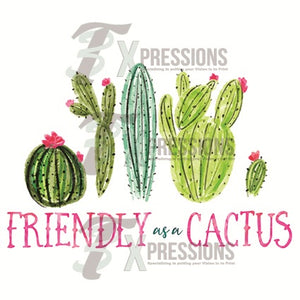 Friendly as a cactus - 3T Xpressions