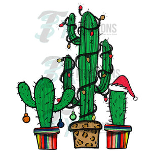 Serape Christmas Cacti