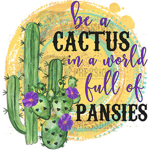 be a cactus world of pansies