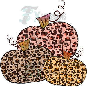 3 Leopard Pumpkins