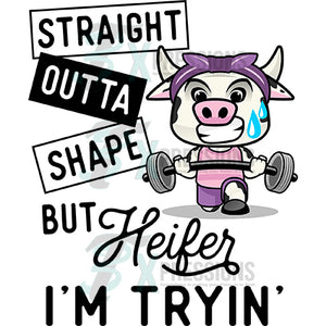 Heifer I'm Tryin