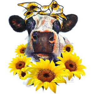 Sunflower Heifer