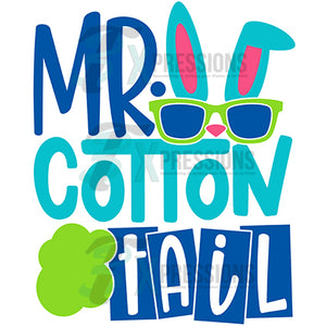 mr cotton tail
