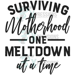 Surviving Motherhood  one Meltdown at a time