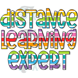 Distance Learning Expert