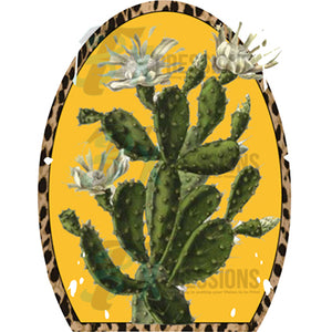 Leopard Vintage Cactus white flowers