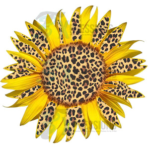 Leopard and yellow Sun flower