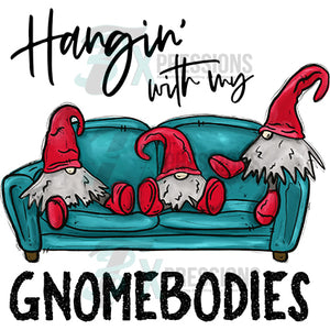 Hangin with my Homeodies Gnomes