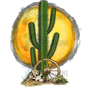 Desert Sun Cactus