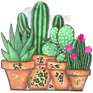 Potted Cactus with leopard