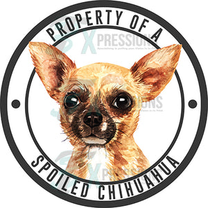 Property of a Spoiled Chihuahua