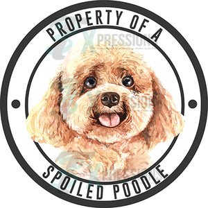 Property of a Spoiled Poodle