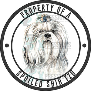 Property of a Spoiled Shih Tzu