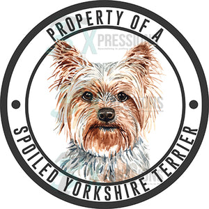 Property of a Spoiled Yorkshire Terrier