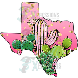 Texas Pink Cactus