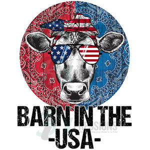Barn in the USA