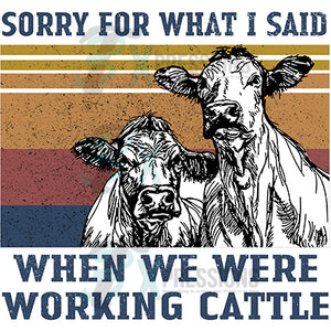Sorry for What I said when we were working cattle