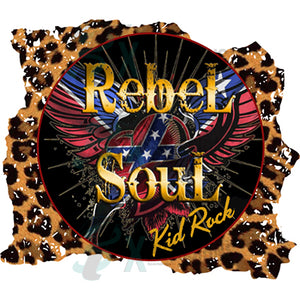 Kid Rock Rebel Soul