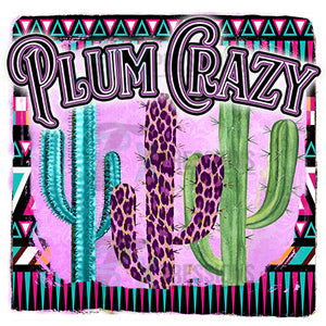 Plum Crzay Cactus