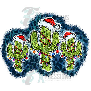 Cactus Christmas Trio