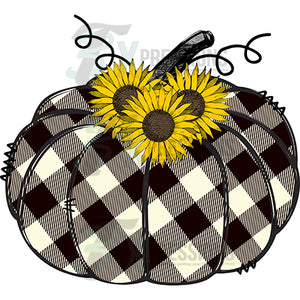 Black and White Pumpkin with sunflower