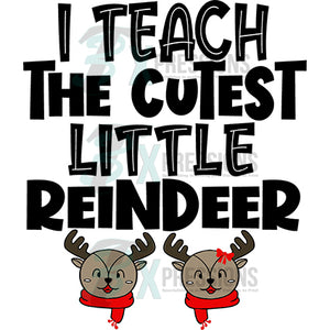 I Teach the cutest little reindeer