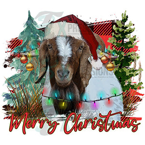 Goat Merry Christmas