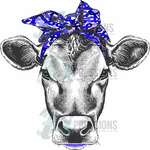 BLUE Cancer Ribbon Scarf Cow