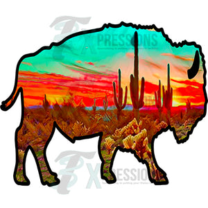 desert bison